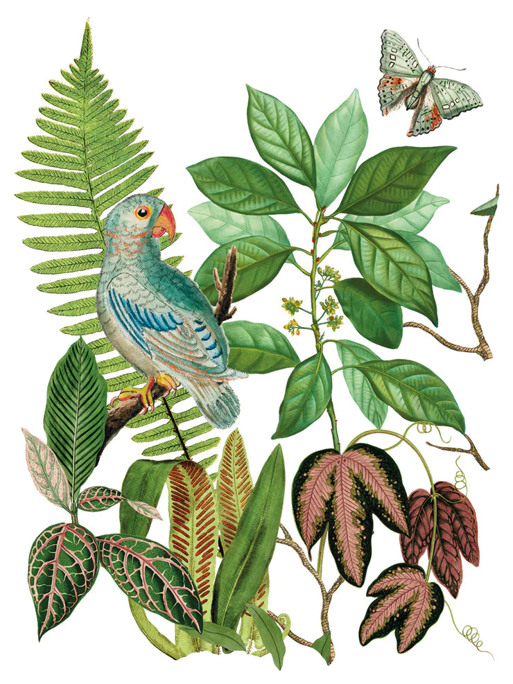 BUNGALOW IOD TRANSFER 12X16 PAD