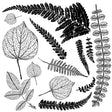 Fronds 12x12 Decor Stamp - IOD - Mill Creek Mercantile