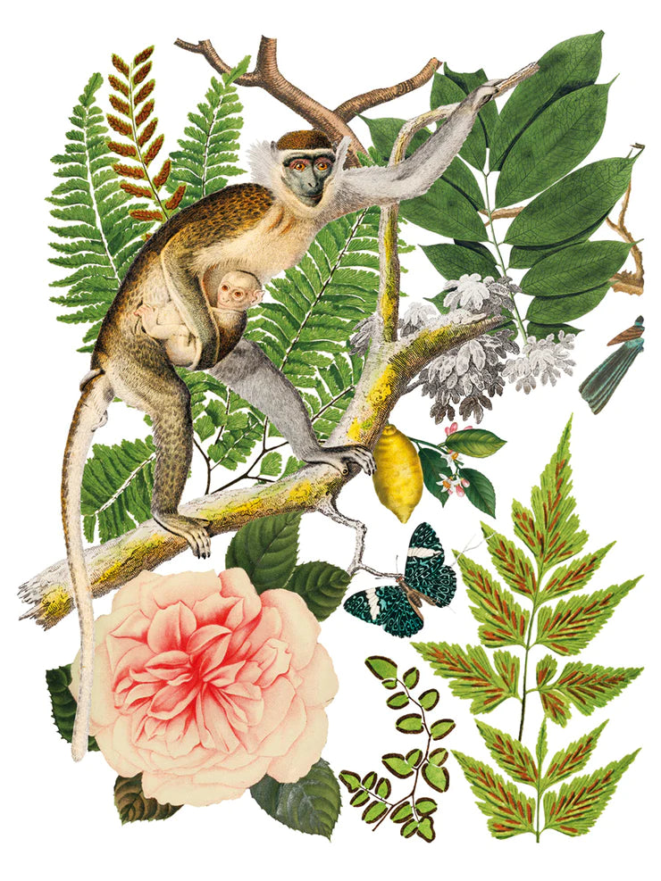 BUNGALOW IOD TRANSFER 12X16 PAD