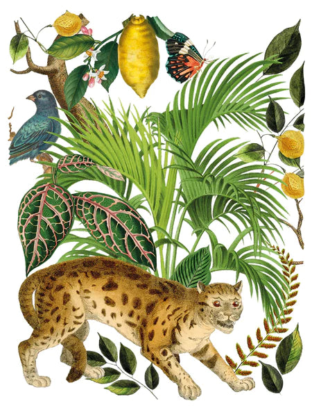 BUNGALOW IOD TRANSFER 12X16 PAD