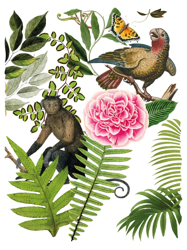 BUNGALOW IOD TRANSFER 12X16 PAD