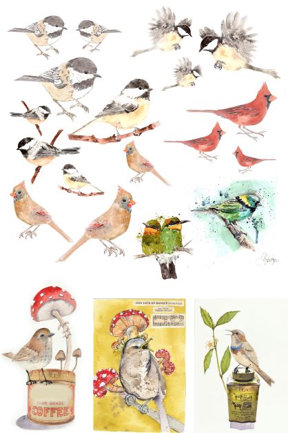 Catalog of Birds Decoupage Paper