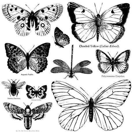 Butterflies 12x12 Decor Stamp - IOD - Mill Creek Mercantile