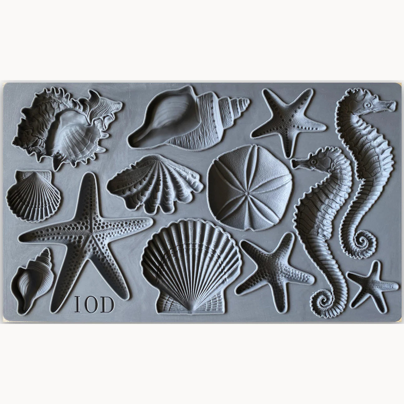 Seashells 6x10 IOD Mould