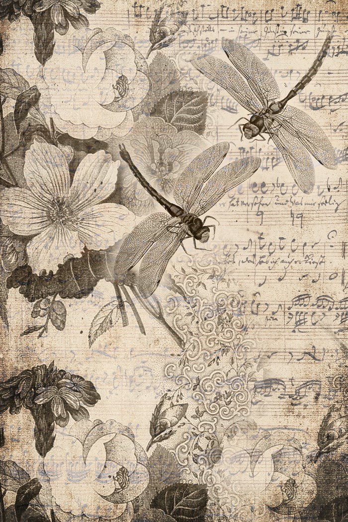 Musical Dragonflies Decoupage Paper - Mill Creek Mercantile